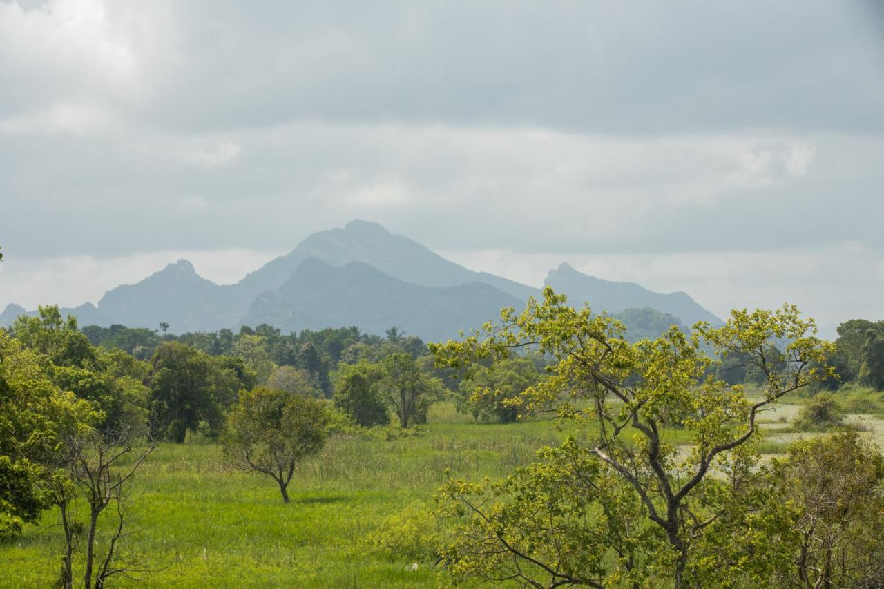 Sigiriya Wewa Addara Hotel - Hotel By The Lake 외부 사진